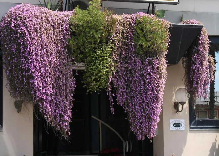 San Francisco Hotel Viareggio